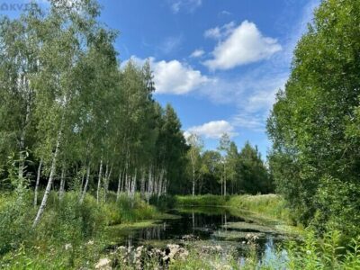 Müüa maja, 4 magamistuba - Lümatu, Antsla vald, Võrumaa