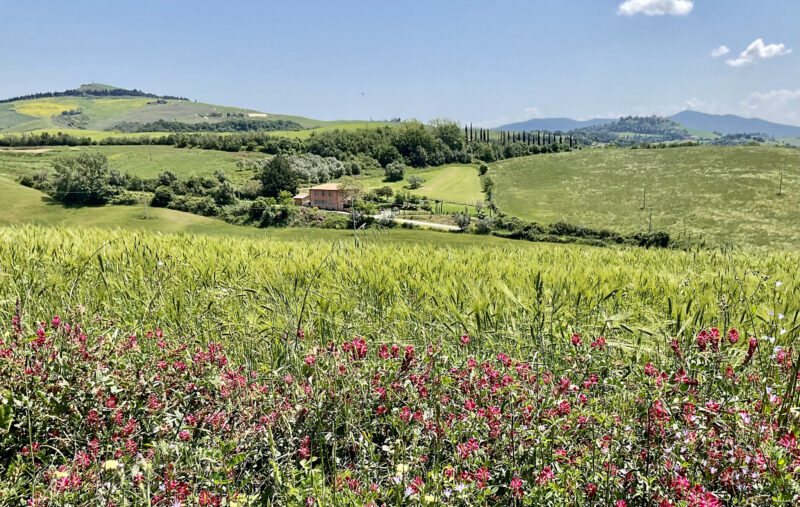 Elegantne, stiilselt renoveeritud maamaja rahulikus Volterra piirkonnas - Image 27