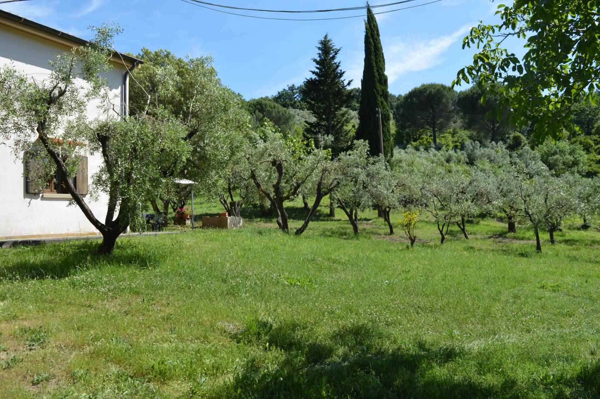 Toscana stiilis maamaja Montescudaio lähedal - Image 20