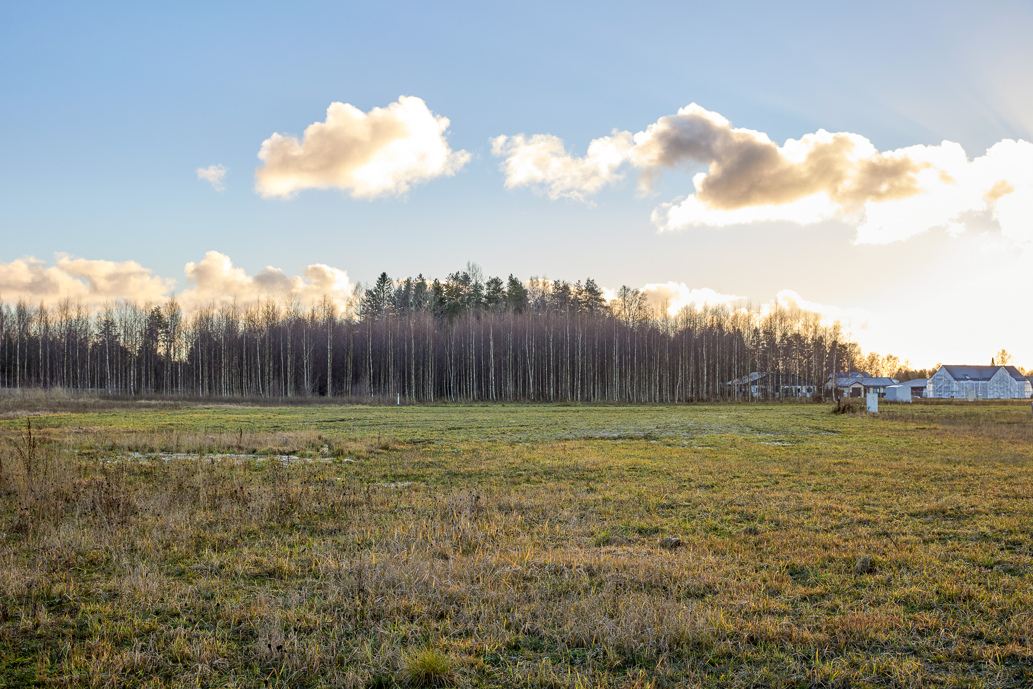 Müüa elamumaa - Aasa tn 9, Kohila, Raplamaa - Image 3