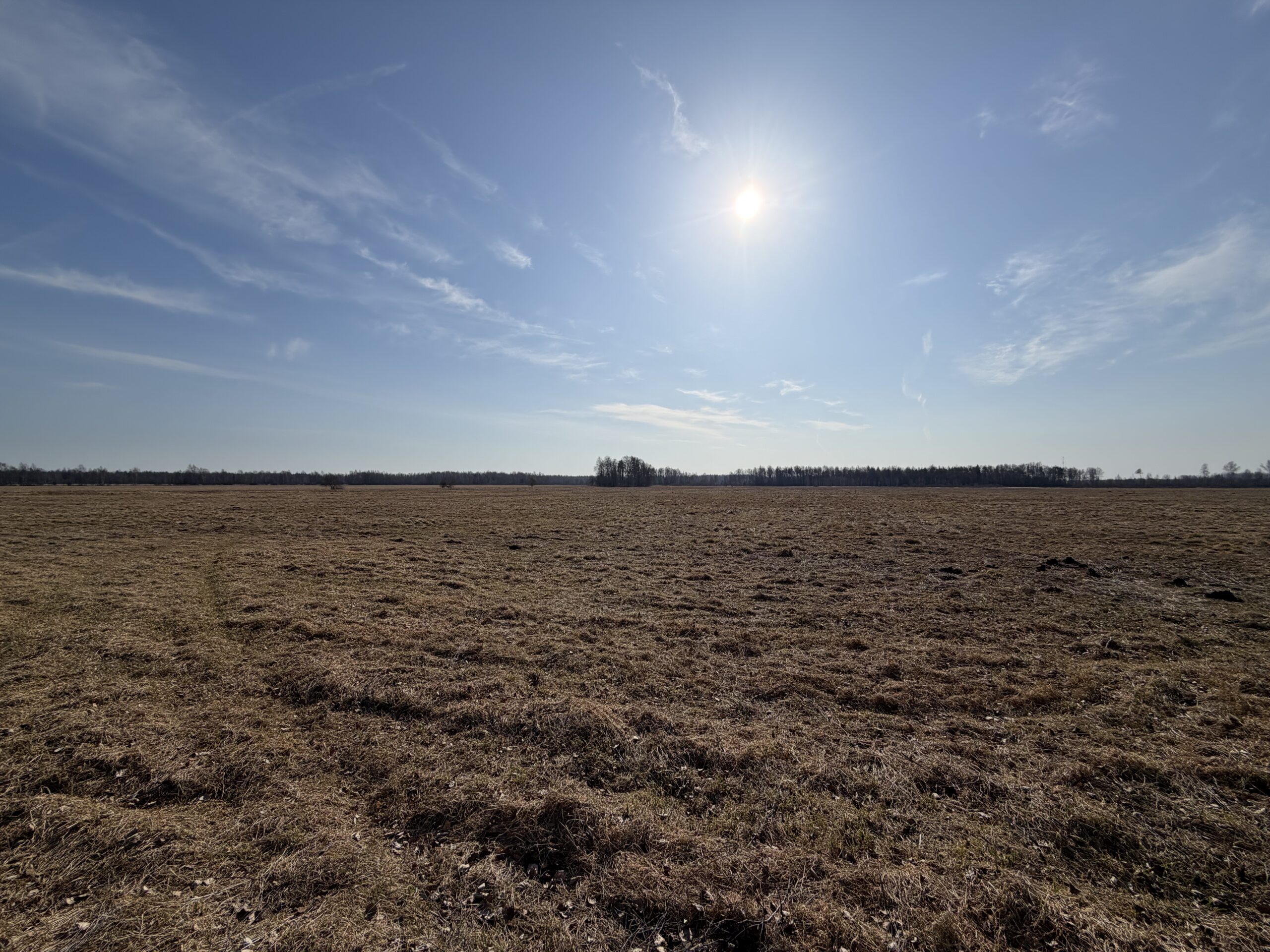 Müüa maatükk, maatulundusmaa - Saustinõmme, Saku vald, Harjumaa - Image 4