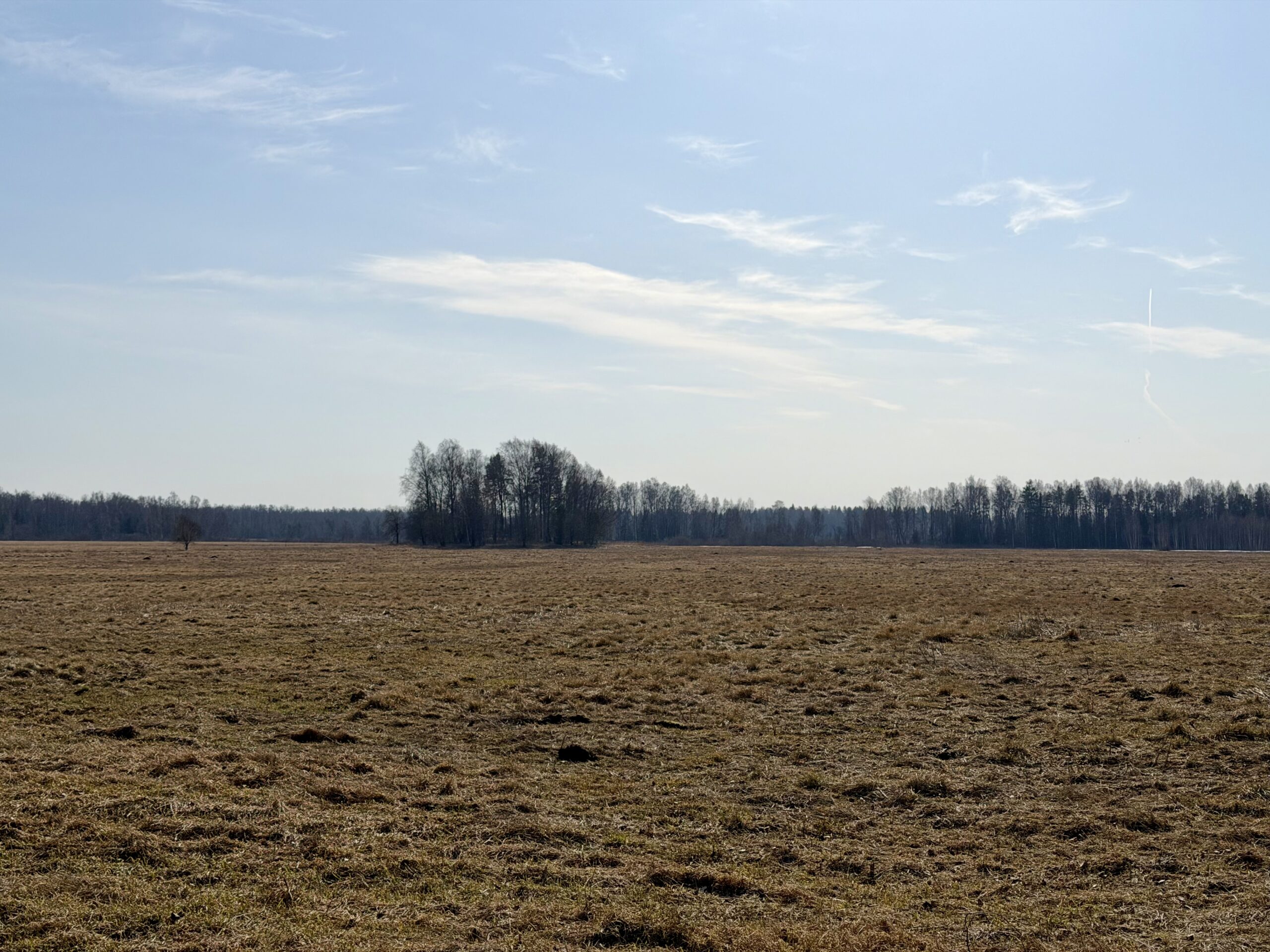 Müüa maatükk, maatulundusmaa - Saustinõmme, Saku vald, Harjumaa - Image 3