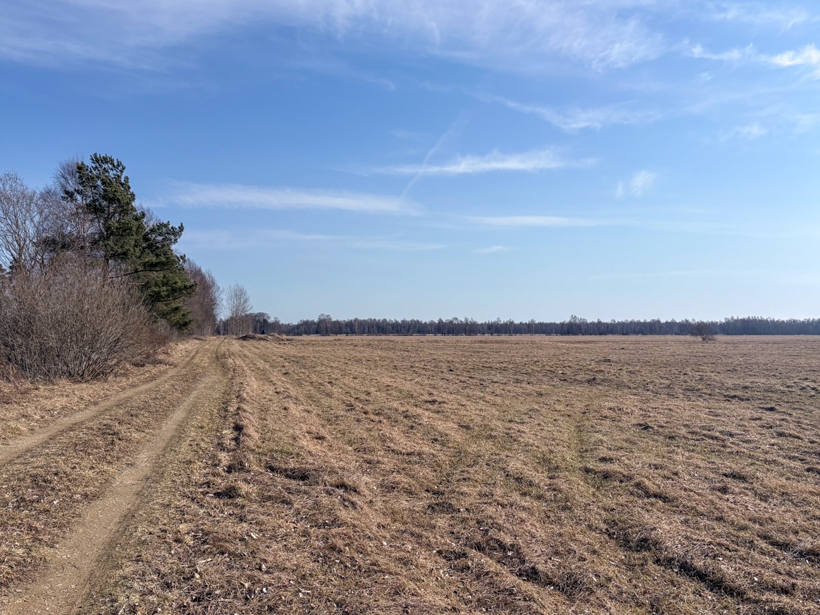 Müüa maatükk, maatulundusmaa - Saustinõmme, Saku vald, Harjumaa - Image 2