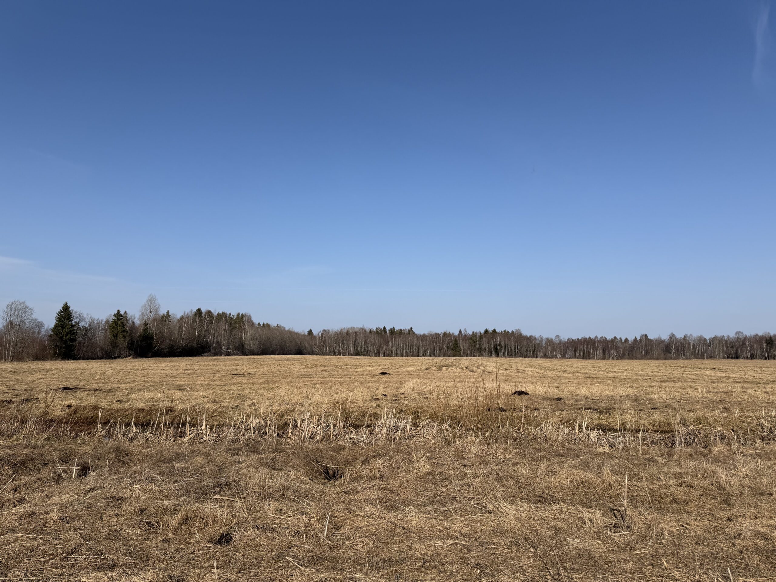 Müüa maatükk, maatulundusmaa - Sausti, Kiili vald, Harjumaa - Image 2