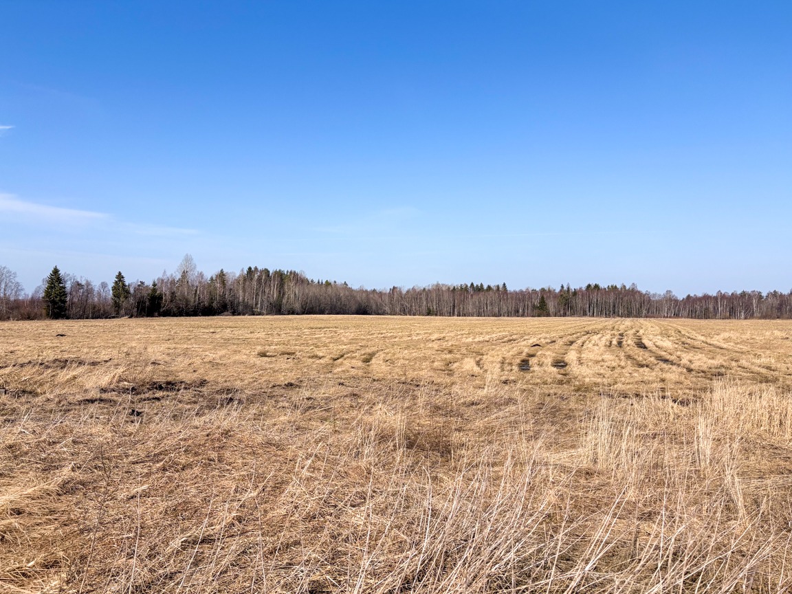 Müüa maatükk, maatulundusmaa - Sausti, Kiili vald, Harjumaa - Image 3